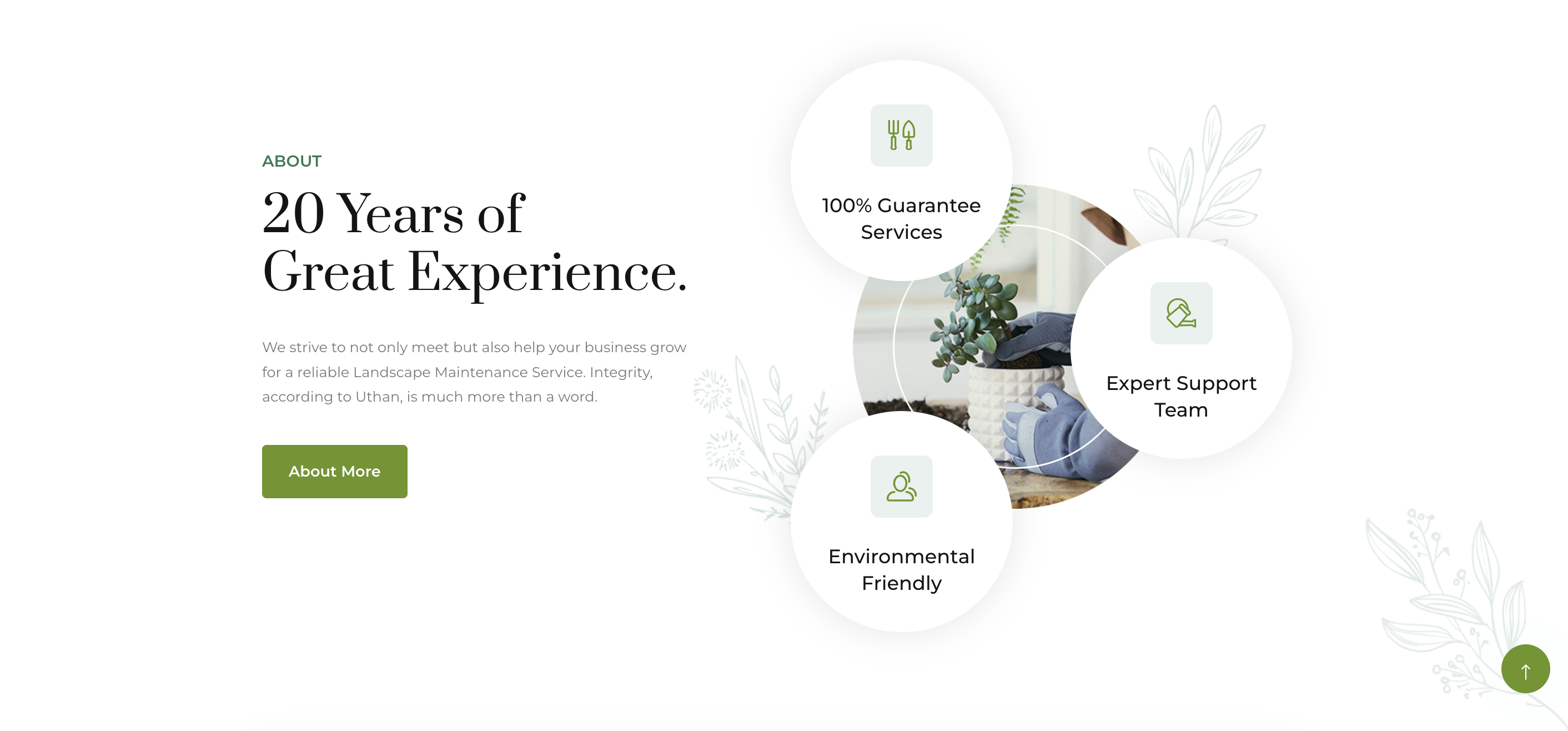 intro section of a landscaping business website